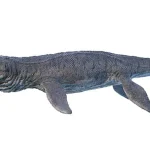 全長は9〜11mに達したと推定されている