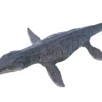 長さ1m近い櫂（かい）のようなヒレ脚が4本備わっていた