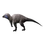 クリンダドロメウス