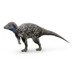 クリンダドロメウス