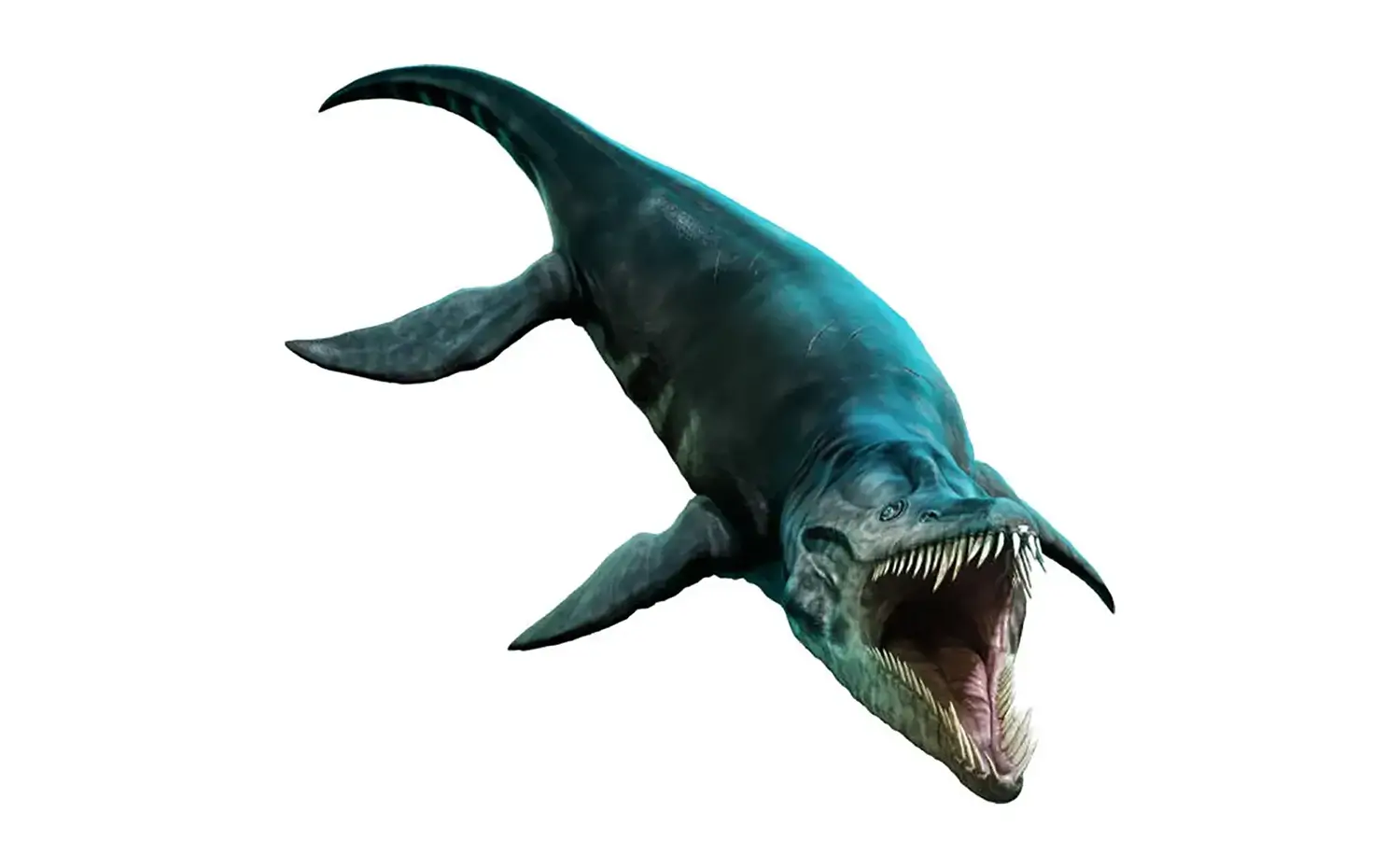 リオプレウロドン