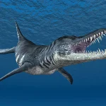海中を高速で泳ぐ獰猛なハンター