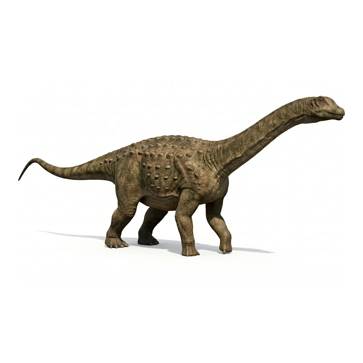 マジャーロサウルス