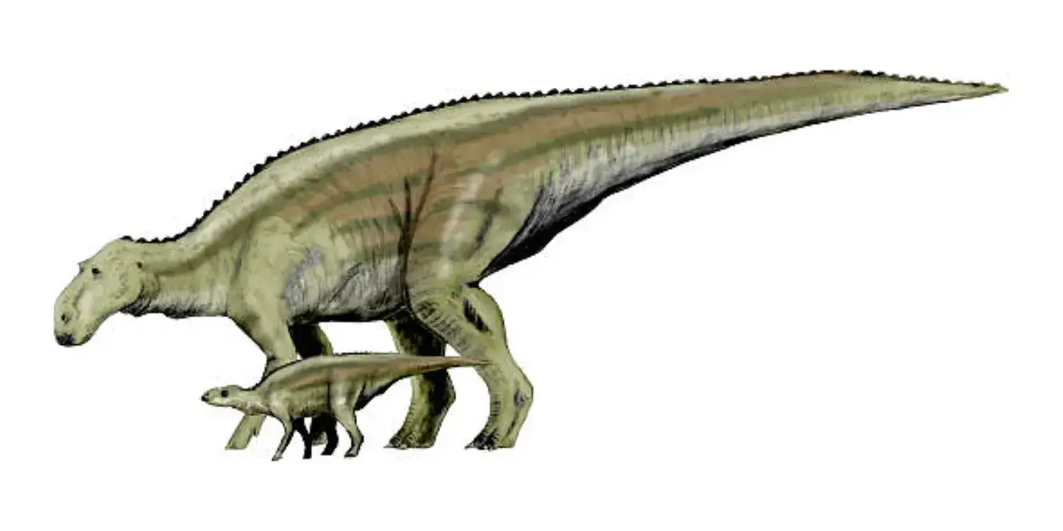 How big was a baby Maiasaura?
