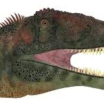 鋭利な歯で獲物を切り刻んでいた