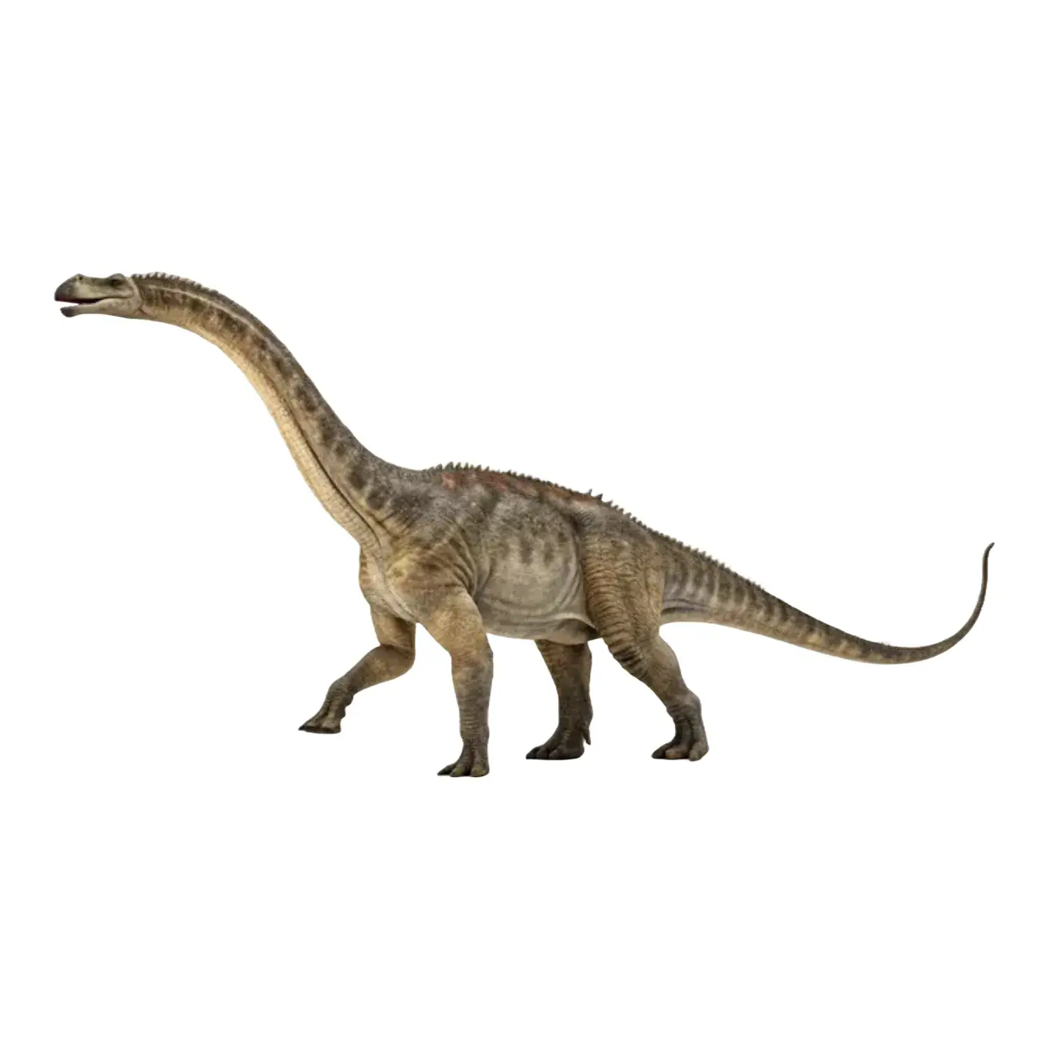 マラアプニサウルス