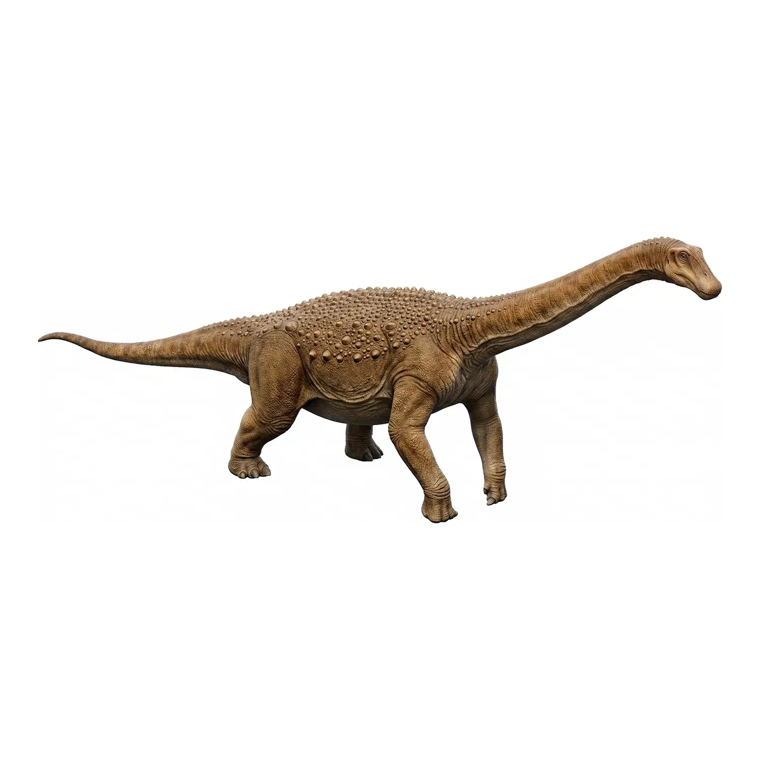 マシャカリサウルス