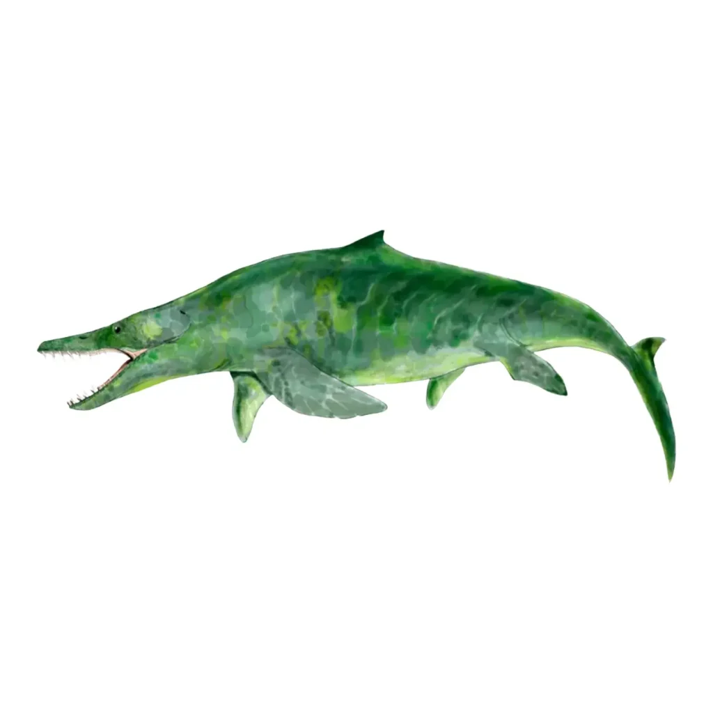 メガプテリギウス