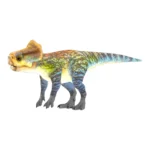 ミクロケラトゥス