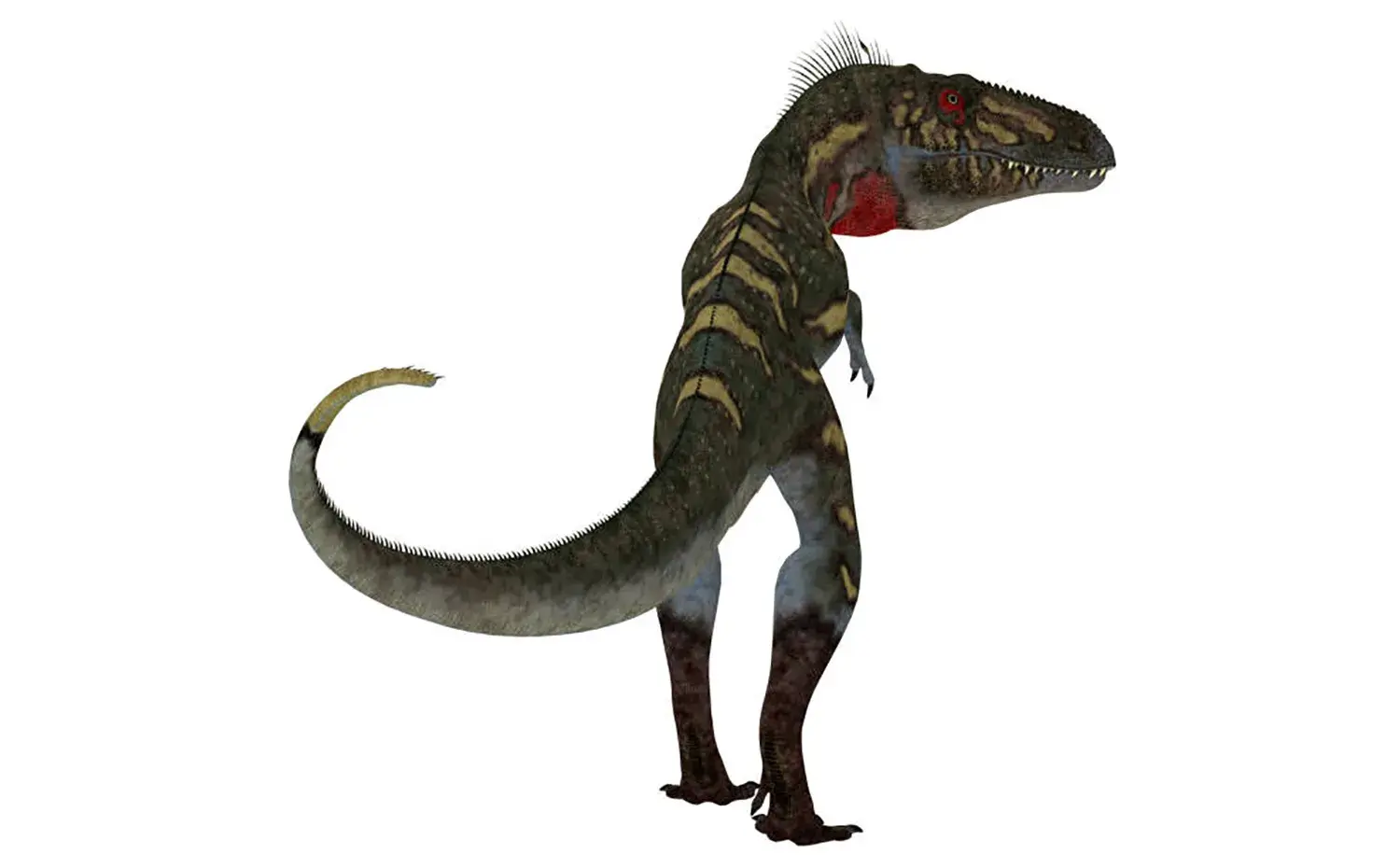 スピードで獲物を翻弄していた