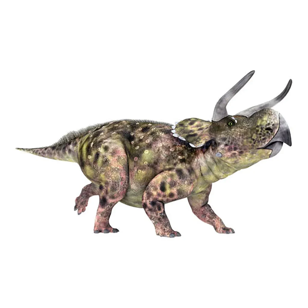 ナストケラトプス