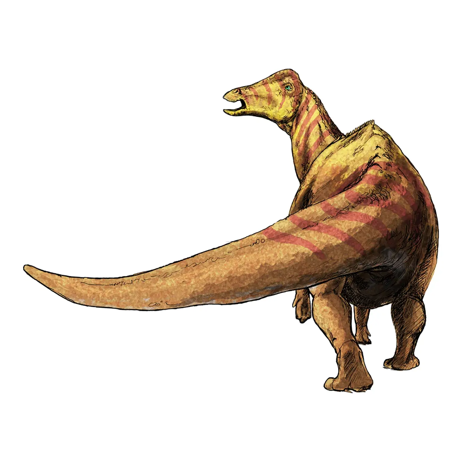 ニッポノサウルス