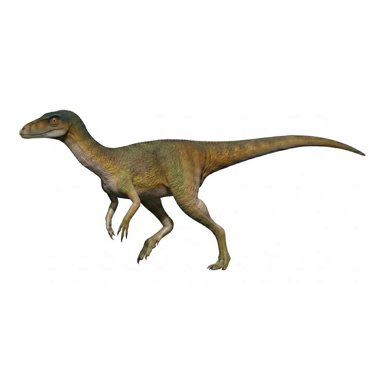 ニャササウルス