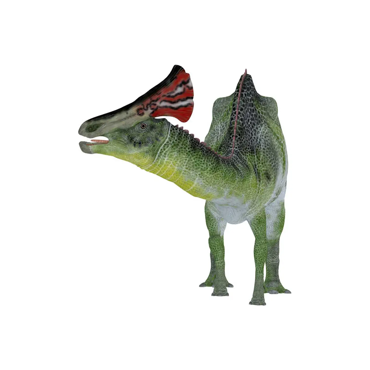 オロロティタン