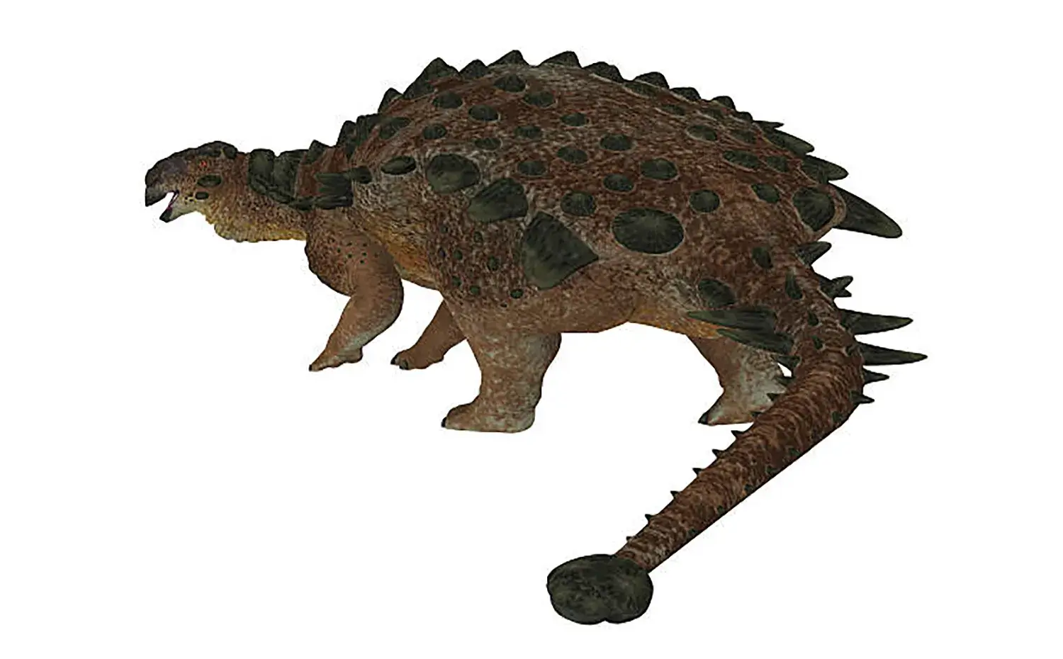 「背中を覆う頑強なアーマー（皮骨板）」や「尻尾の先端にある棍棒（テールクラブ/ハンマー）」を備えていた