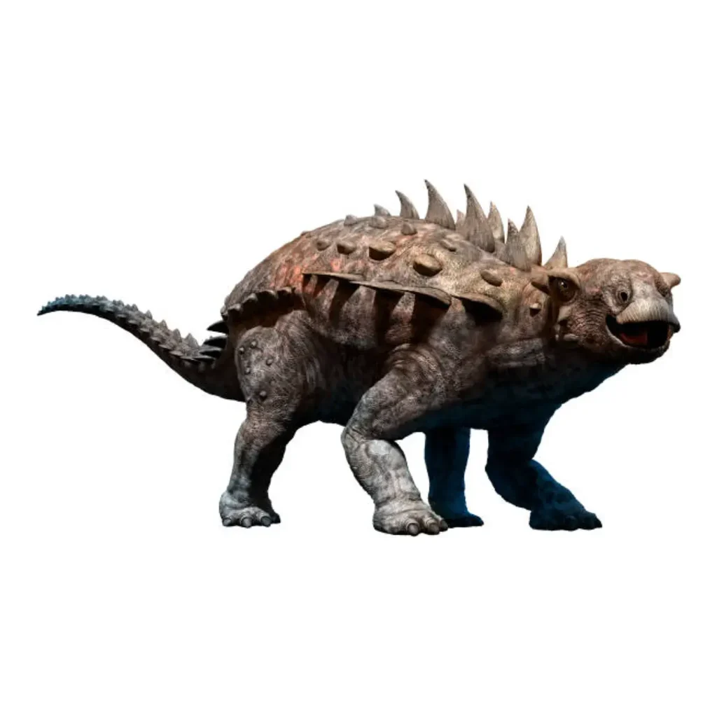 ポラカントゥス