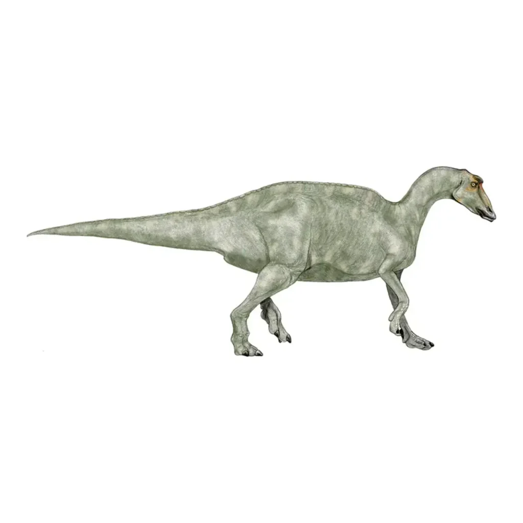 プロサウロロフス