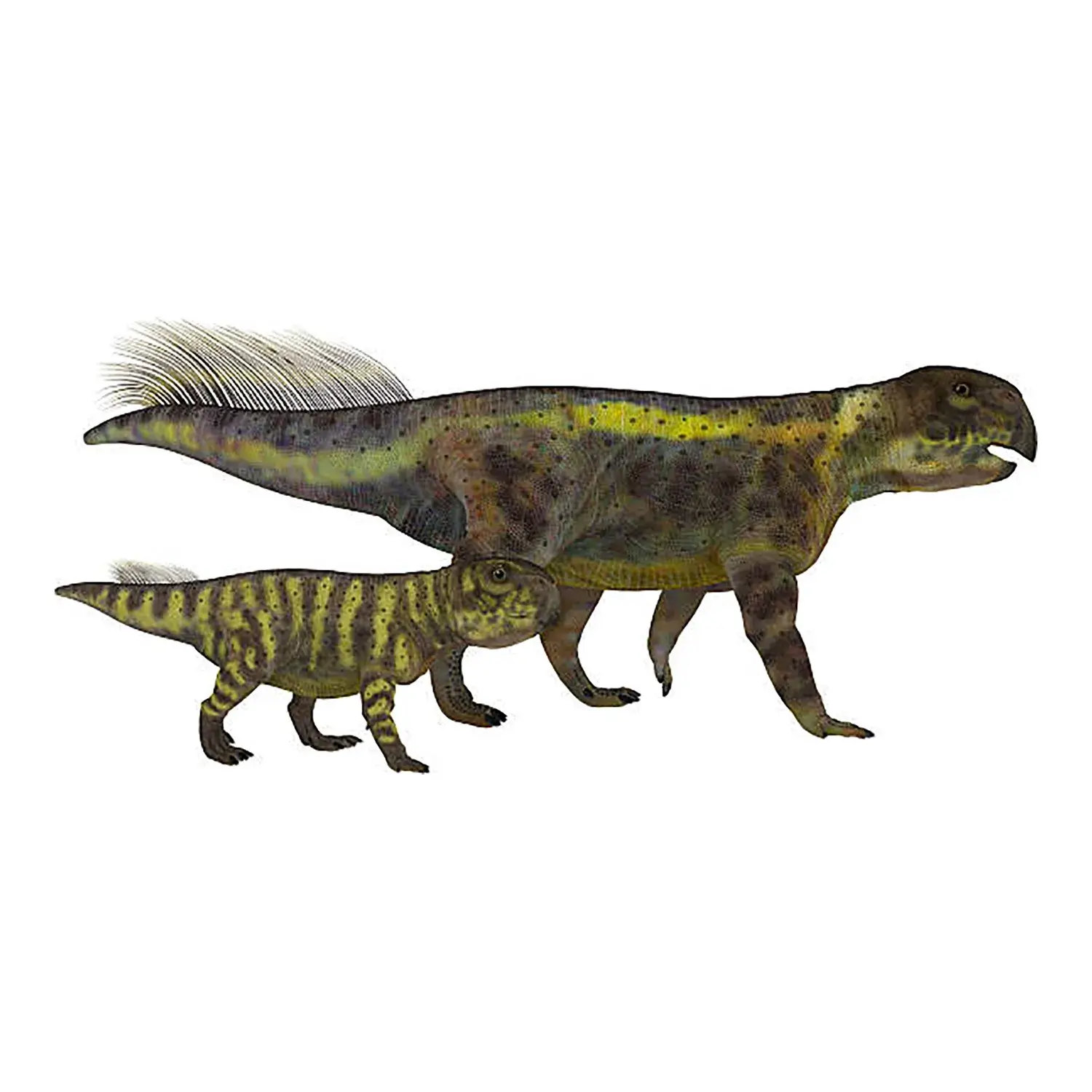 プシッタコサウルス