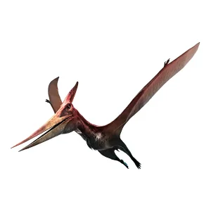 Pteranodon-300x300.webp