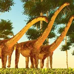 森林地帯などで生活していたのではないかと推測されている