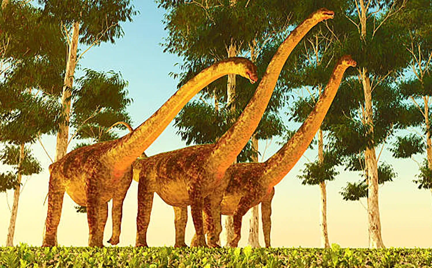 森林地帯などで生活していたのではないかと推測されている