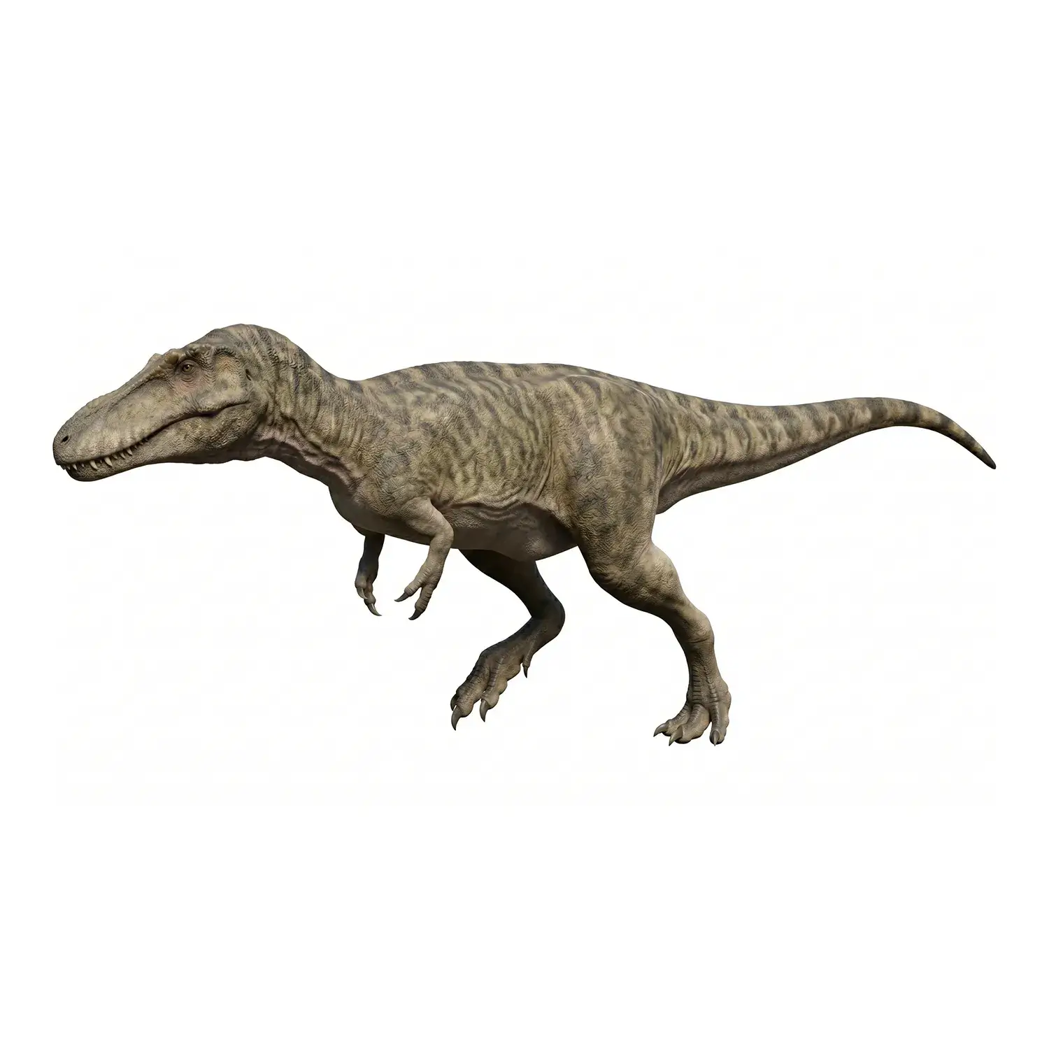 キアンゾウサウルス
