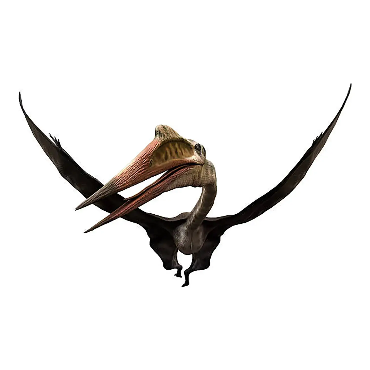ケツァルコアトルス