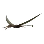 ランフォリンクス