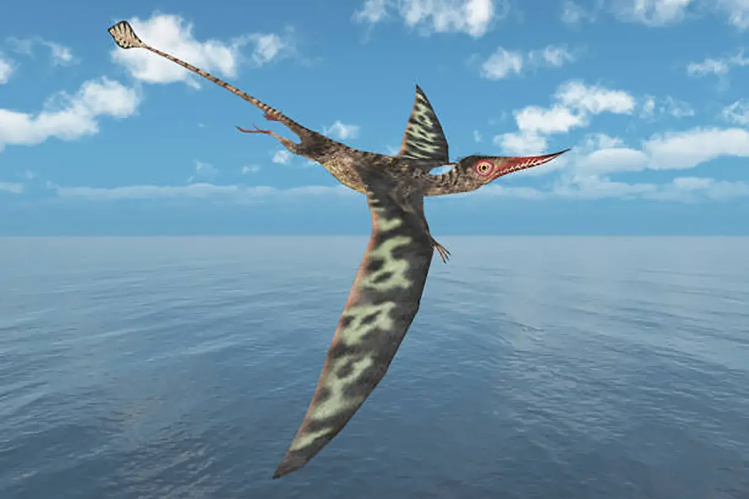 空中から水面スレスレを滑空し、表層を泳ぐ魚を牙で突き刺して捕食していた。