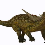 体型はサイのようにがっしりしており、大きく膨らんだ胴体だった。