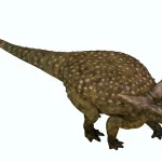 背中から尾までびっしりと並んだ硬い骨のトゲや骨板