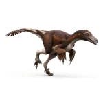 サウロルニトイデス