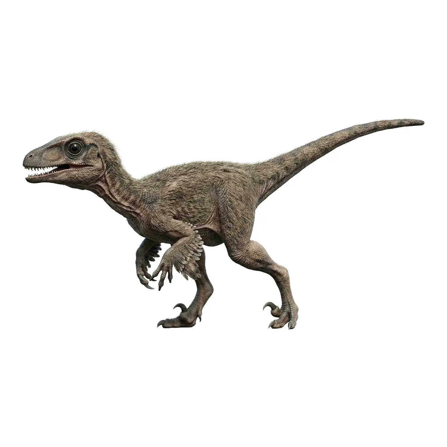 スキピオニクス