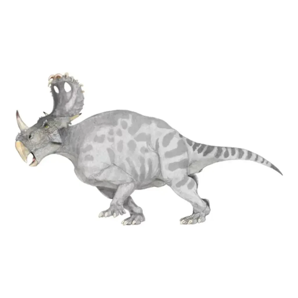 シノケラトプス