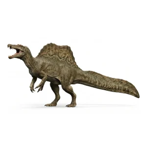 スピノサウルス (Spinosaurus) | 恐竜大百科