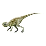 スタウリコサウルス