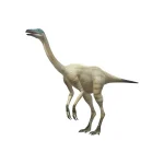 ストルティオミムス