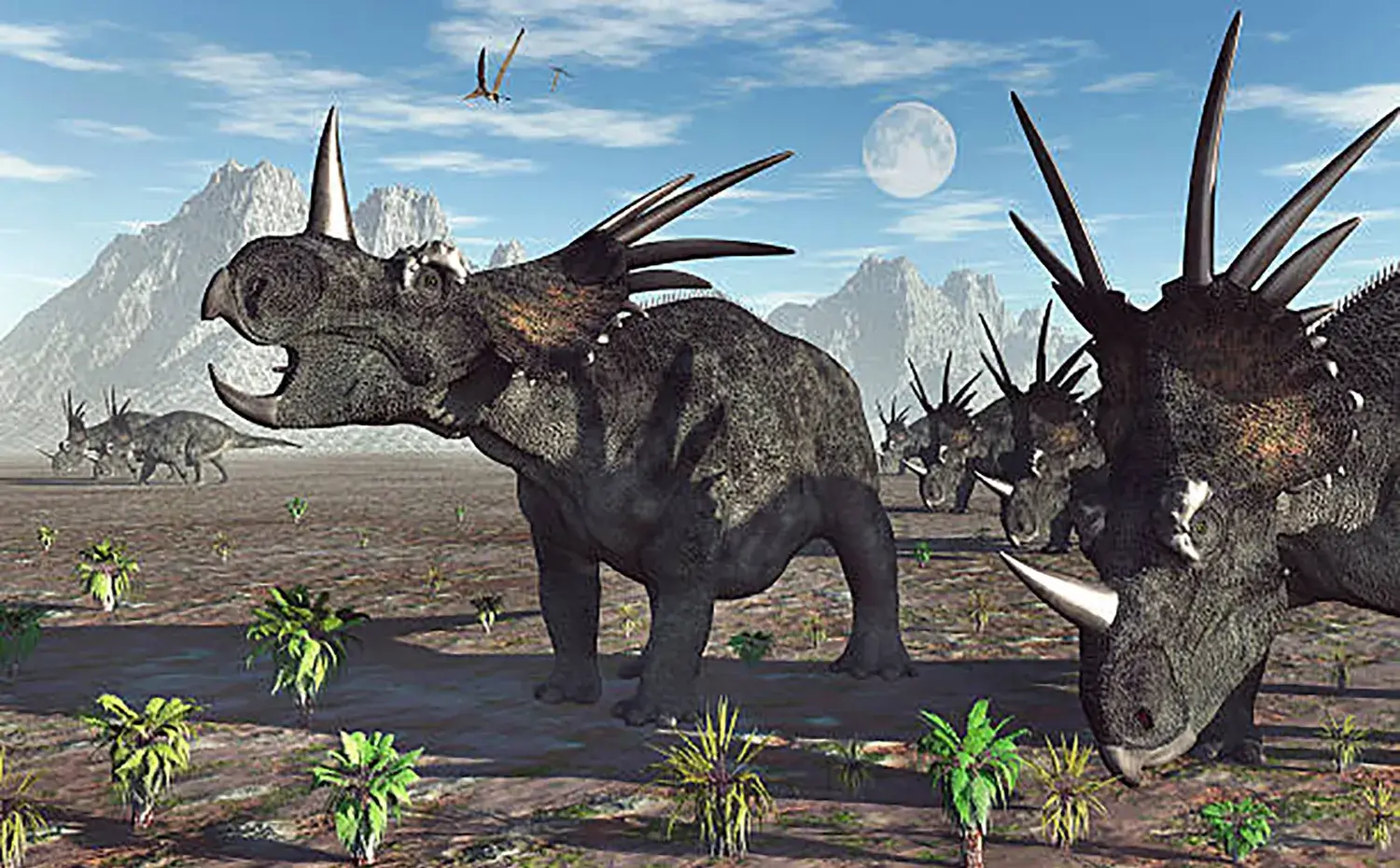 群れを作って生活していた