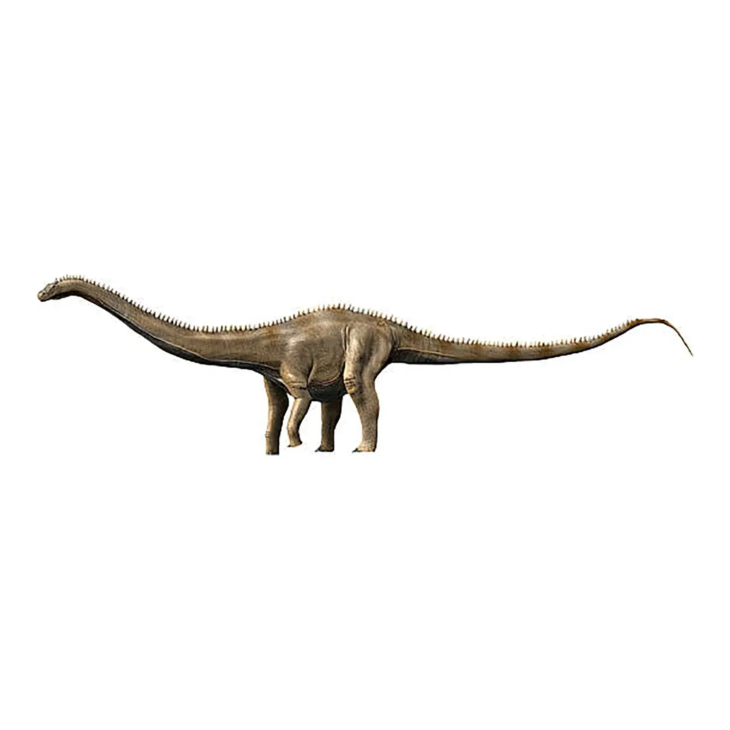 スーパーサウルス