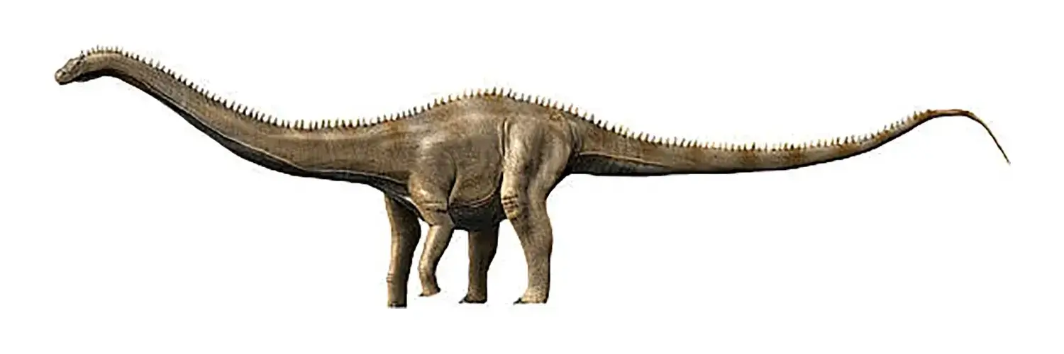 スーパーサウルスは長生きすると、どれくらい生きる？