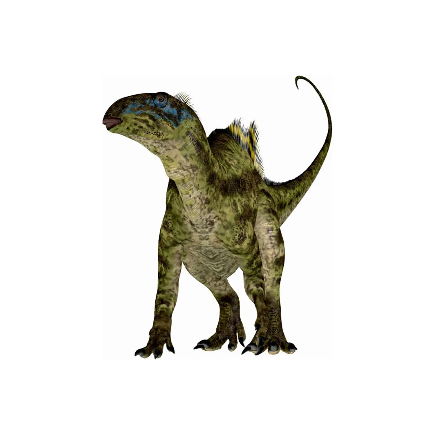 テノントサウルス