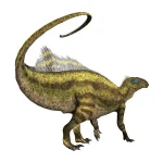 強靭な尾は「鞭」のような武器となった