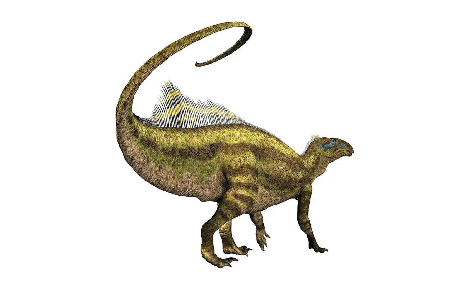 強靭な尾は「鞭」のような武器となった