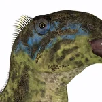 口先のクチバシで摘み取り、奥歯ですり潰して食べていた。