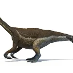 体は樽のようにボリュームがあった