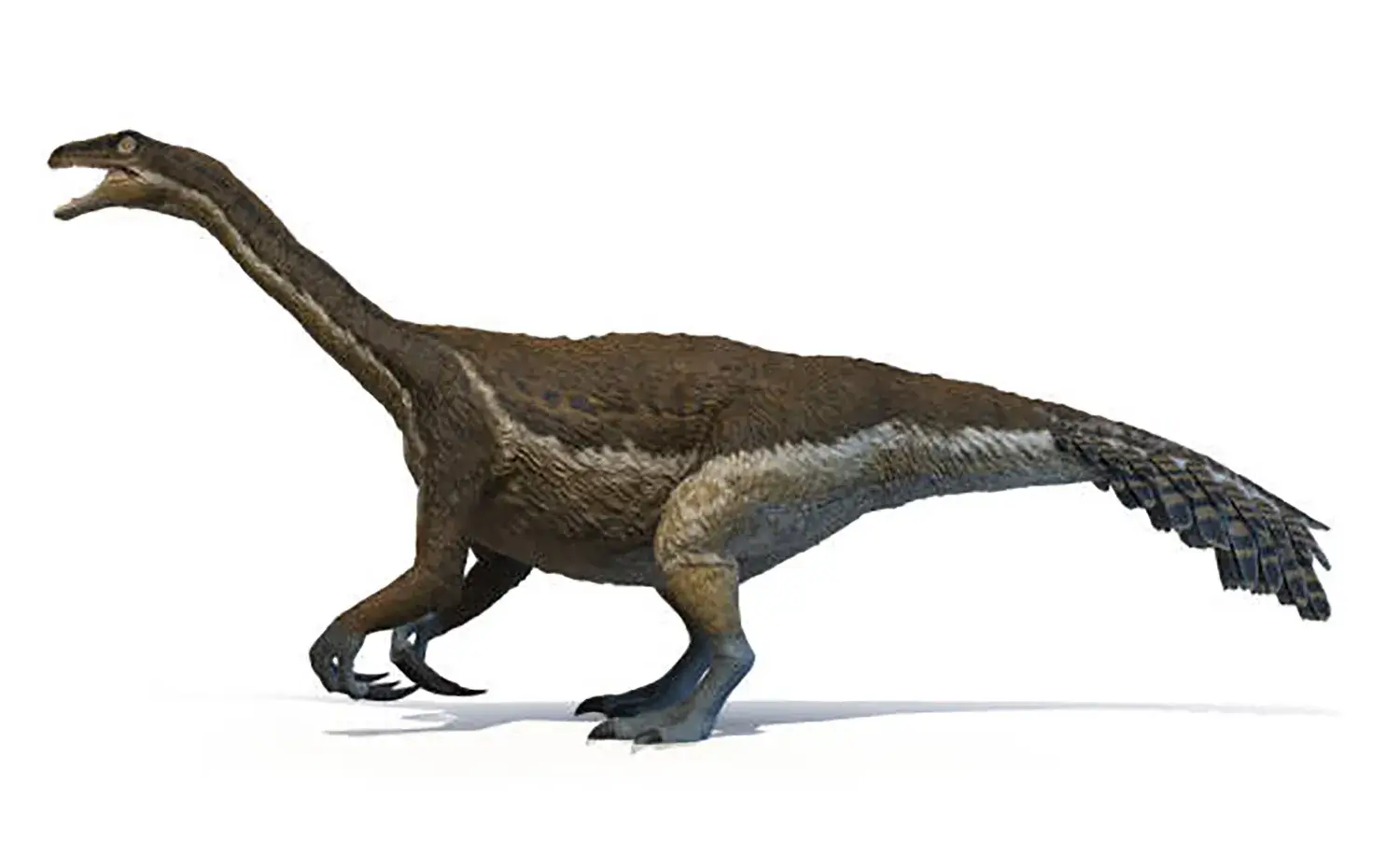 体は樽のようにボリュームがあった