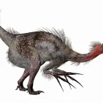 最大の特徴は前肢の巨大なかぎ爪