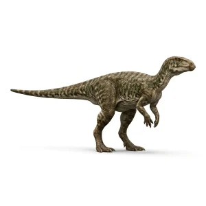 テスケロサウルス (Thescelosaurus) | 恐竜大百科