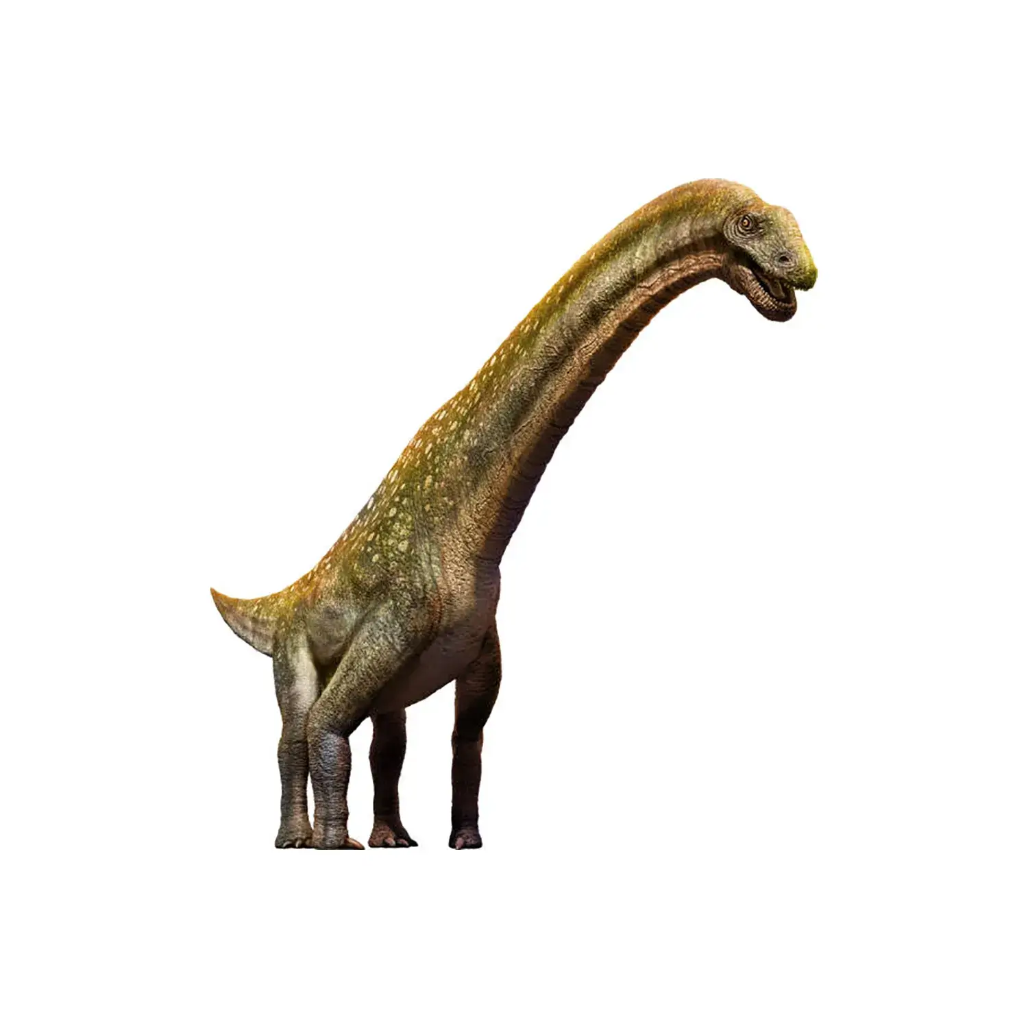 ティタノサウルス