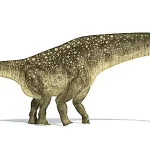 ずんぐりとした体型をしていた